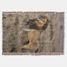African Lion Throw Blanket Deken