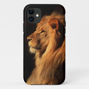 African Male Lion iphone Case van Steven Holt