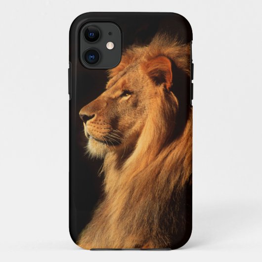 African Male Lion iphone Case van Steven Holt (Achterkant)