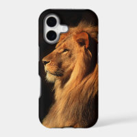 African Male Lion iphone Case van Steven Holt