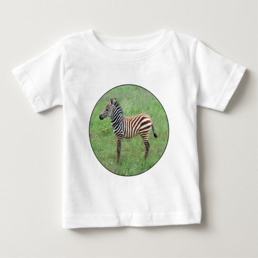 African Ngorongoro Baby Zebra (Voorkant)