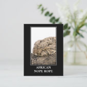 African Nope Rope - Puff adder Snake Danger Briefkaart (Staand voorkant)
