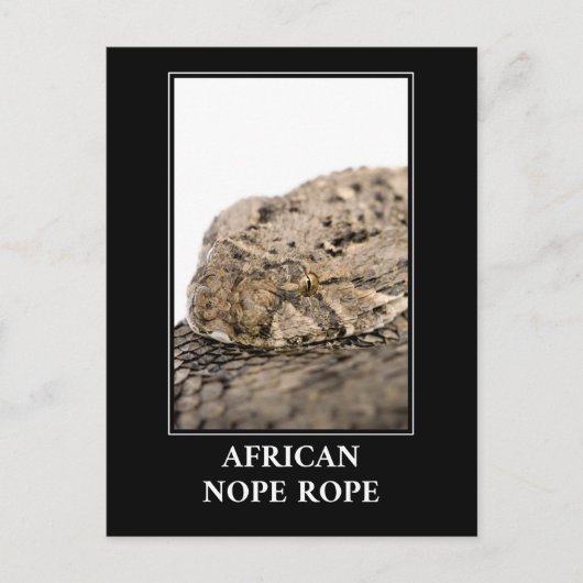 African Nope Rope - Puff adder Snake Danger Briefkaart (Voorkant)