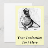 African Owl Pigeon 1978 Kaart (Voorkant / Achterkant)