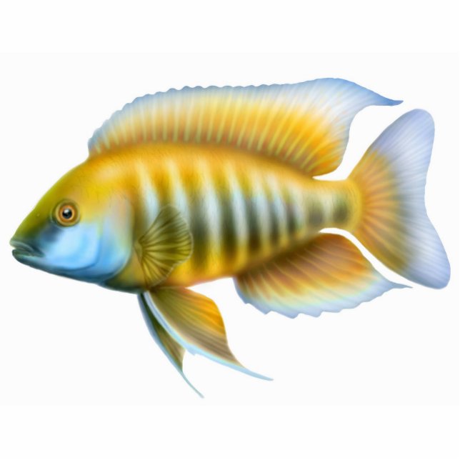 African Peacock Cichlid Holiday Ornament Fotobeeldje Ornament (Voorkant)