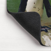 African Penguin Mousepad Muismat (Hoek)