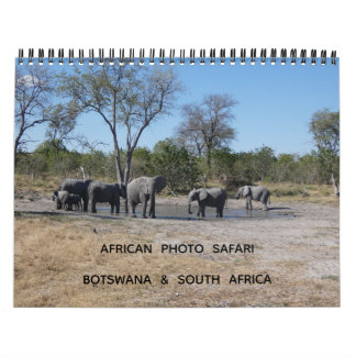 AFRICAN PHOTO SAFARI - BOTSWANA & SOUTH AFRICA KALENDER