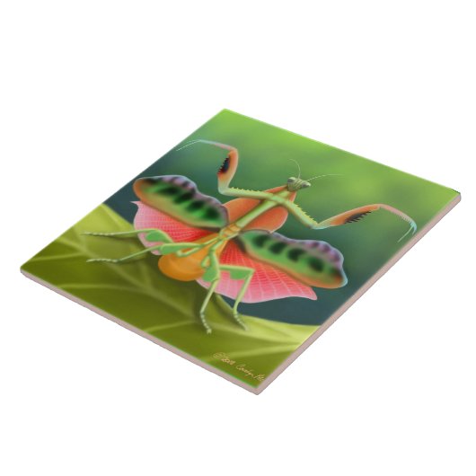 African Praying Mantis Tile Tegeltje (Zijkant)