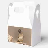 African Red-Eyed Bulbul Bedankdoosjes (Geopend)