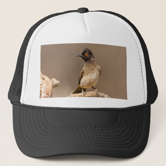 African Red-Eyed Bulbul Trucker Pet (Voorkant)