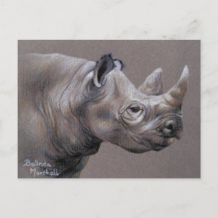 African Rhino Drawing Postcard Briefkaart