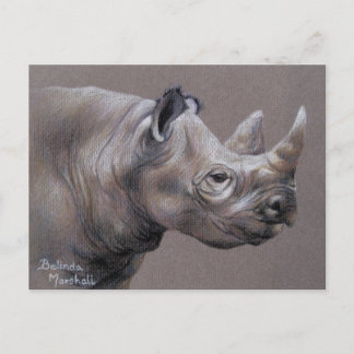African Rhino Drawing Postcard Briefkaart