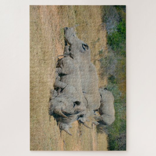 African Rhino Family Resting Puzzle Legpuzzel (Verticaal)