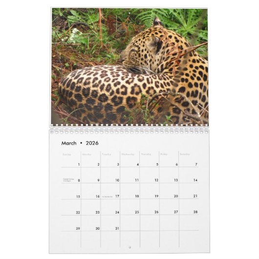 African Safari 2018 Calendar Kalender (Mar 2026)