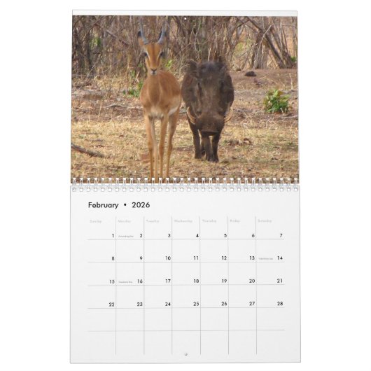 African Safari 2018 Calendar Kalender (Feb 2026)