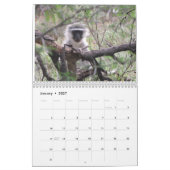 African Safari 2018 Calendar Kalender (Jan 2027)