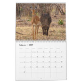 African Safari 2018 Calendar Kalender (Feb 2027)