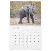 African Safari 2023 Calendar Kalender (Mar 2026)