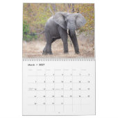 African Safari 2023 Calendar Kalender (Mar 2027)