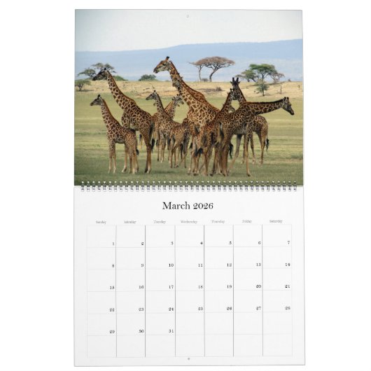 African Safari 2026 Groot Kalender (Mar 2026)