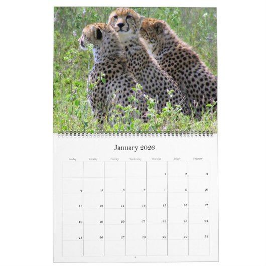 African Safari 2026 Groot Kalender (Jan 2026)