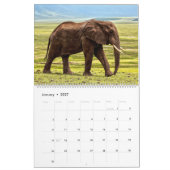 African Safari Calendar Kalender (Jan 2027)