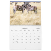 African Safari Calendar Kalender (Feb 2026)