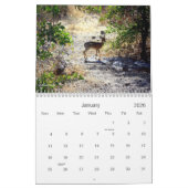African Safari Calendar Kalender (Jan 2026)