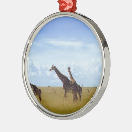 African Safari Giraffe: Nationaal Park van Kenia Metalen Ornament (Links)