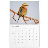 African Safari KALEIDOSCOPE Calendar 2014 2-Pg. Kalender (Mar 2026)