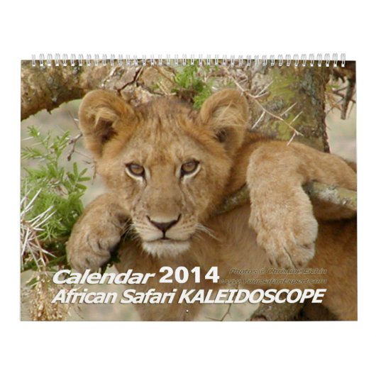 African Safari KALEIDOSCOPE Calendar 2014 2-Pg. Kalender (Hoes)