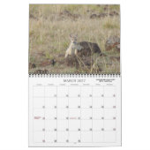 AFRICAN SAFARI KALENDER (Mar 2027)