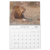 AFRICAN SAFARI KALENDER (Jan 2027)