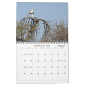AFRICAN SAFARI KALENDER (Feb 2026)