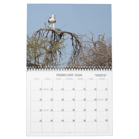 AFRICAN SAFARI KALENDER (Feb 2026)