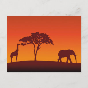 African Safari Silhouette - Briefkaart
