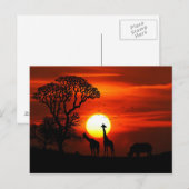 African Safari Sunset Animal Silhouettes Briefkaart (Voorkant / Achterkant)