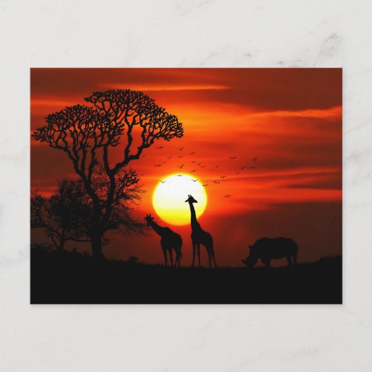 African Safari Sunset Animal Silhouettes Briefkaart (Voorkant)