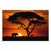 African Safari Sunset Foto Afdruk (Voorkant)