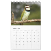 African Safari - WILDLIFE Calendar 2014 Single Pg. Kalender (Mar 2026)