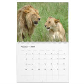 African Safari WILDLIFE Calendar (Twee pagina's) Kalender (Feb 2026)
