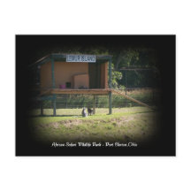 African Safari Wildlife Park Lemur Briefkaart