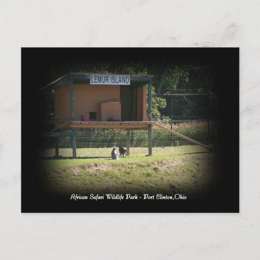 African Safari Wildlife Park Lemur Briefkaart (Voorkant)