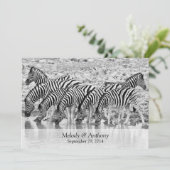 African Safari Zebra huwelijksuitnodiging Kaart (Staand voorkant)