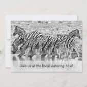African Safari Zebra - Uitnodiging voor een leuke  (Voorkant)