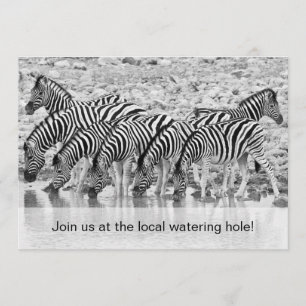 African Safari Zebra - Uitnodiging voor een leuke