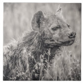 African Spotted Hyena Tegeltje (Voorkant)