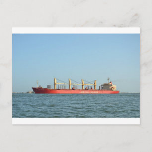 African Swan Bulk Carrier Briefkaart