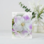 African Violet Blossom Briefkaart (Staand voorkant)