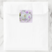 African Violet Blossom Vierkante Sticker (Tas)